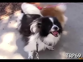 Thai floozy desires for her guy's cock and for some hardcore