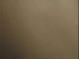 Homemade Asian couple